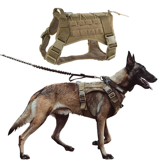 Ultimate Adventure Dog Vest